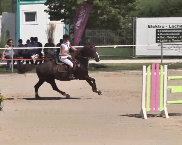 Reitturnier Waldachtal-Heiligenbronn 2015