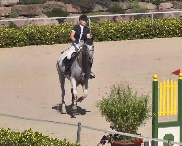 Reitturnier Waldachtal-Heiligenbronn 2015