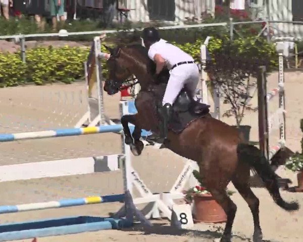 Reitturnier Waldachtal-Heiligenbronn 2015