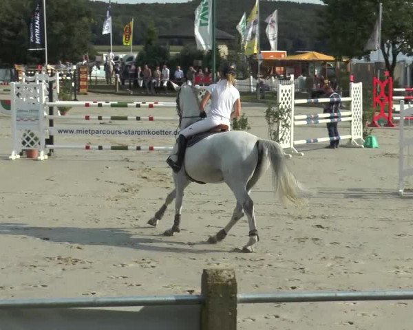 Bad Rothenfelder Reitertage 2015