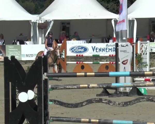 Bad Rothenfelder Reitertage 2015