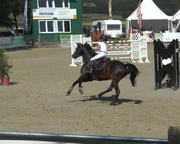 Bad Rothenfelder Reitertage 2015