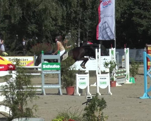 Bad Rothenfelder Reitertage 2015