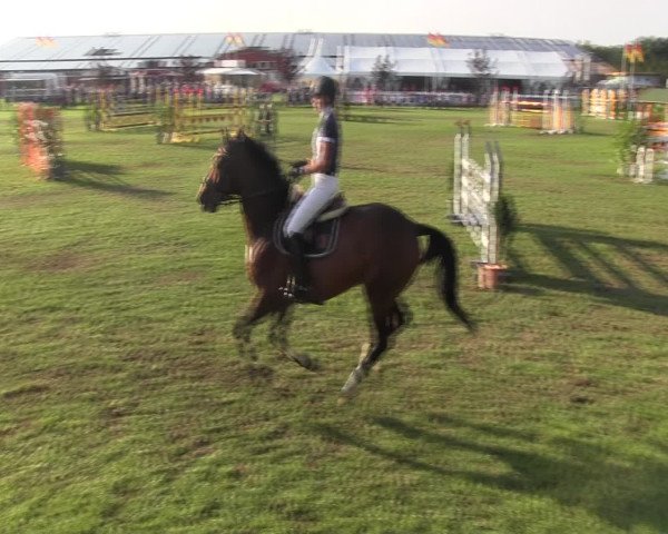 Reitturnier Holdorf 2015