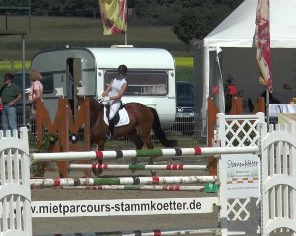 Bad Rothenfelder Reitertage 2015