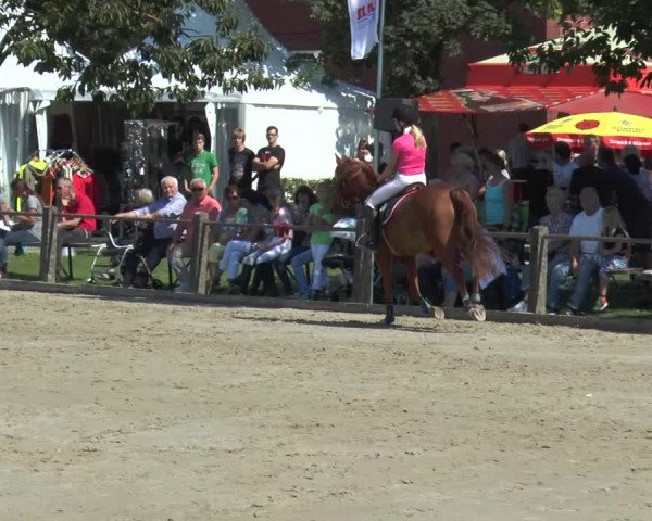 Bad Rothenfelder Reitertage 2015