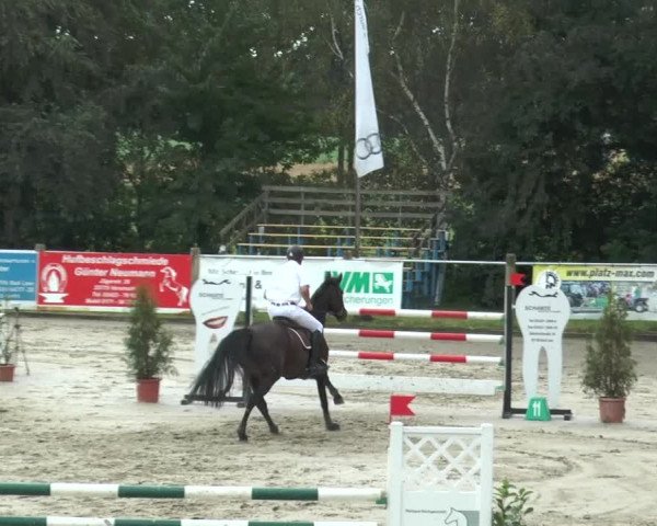 Bad Rothenfelder Reitertage 2015