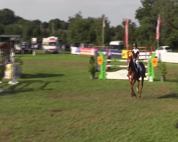 Reitturnier Holdorf 2015