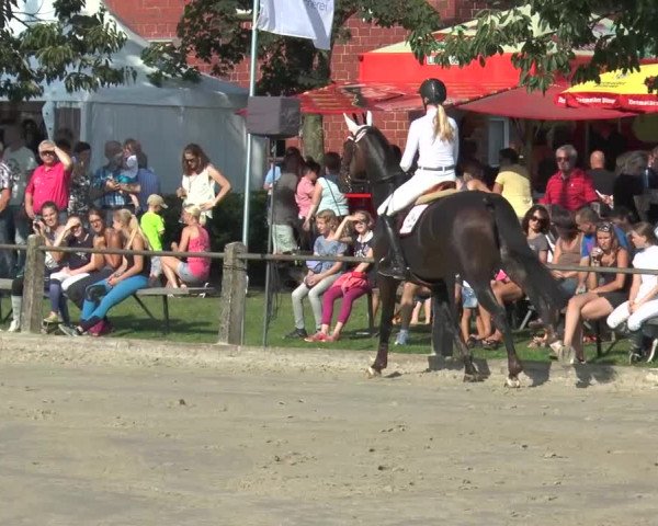 Bad Rothenfelder Reitertage 2015