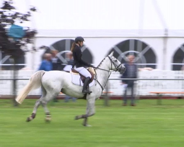 Reitturnier Holdorf 2015