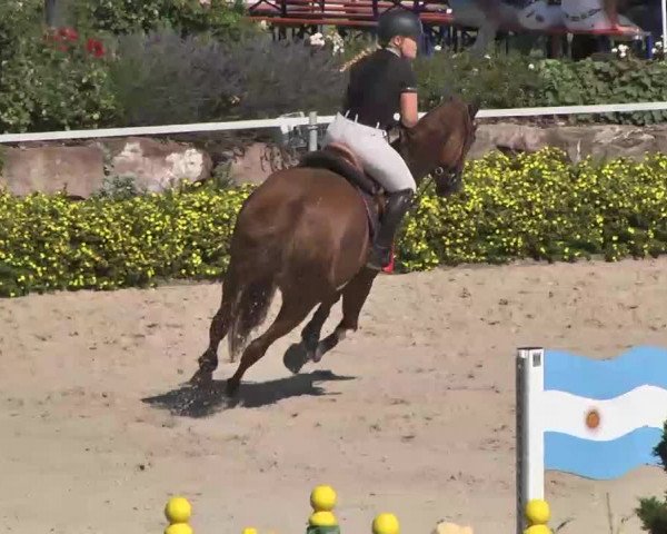 Reitturnier Waldachtal-Heiligenbronn 2015