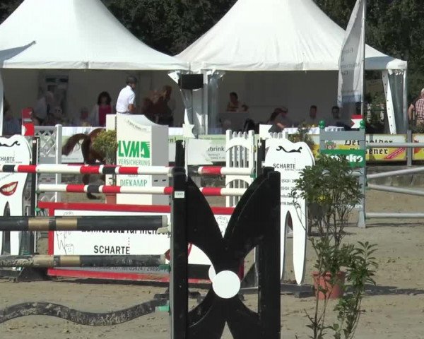 Bad Rothenfelder Reitertage 2015