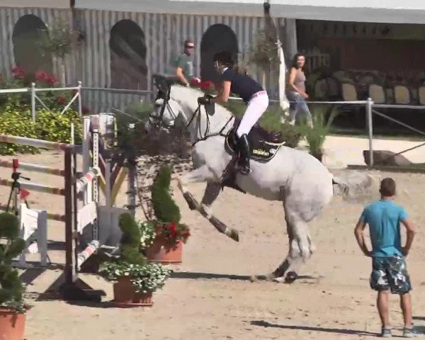 Reitturnier Waldachtal-Heiligenbronn 2015