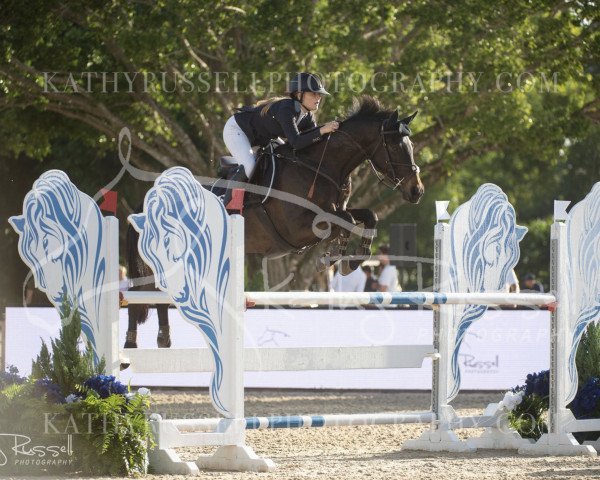 jumper Embaia M (Hanoverian, 2010, from Embassy I)