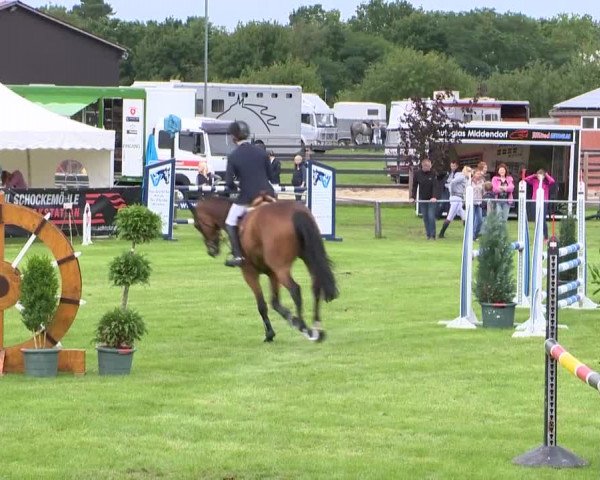 Reitturnier Holdorf 2015