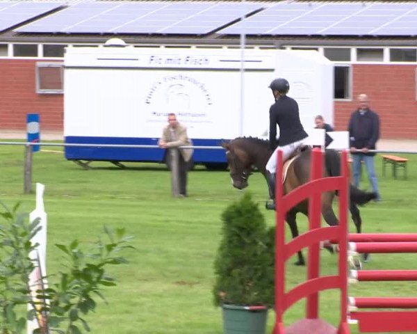 Reitturnier Holdorf 2015