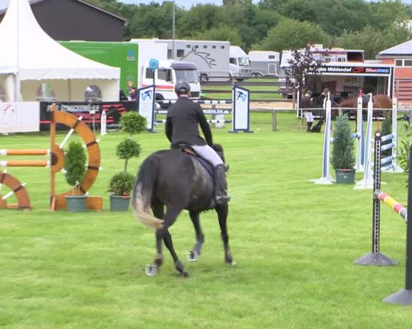 Reitturnier Holdorf 2015