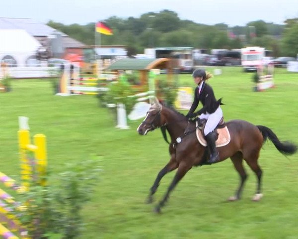 Reitturnier Holdorf 2015