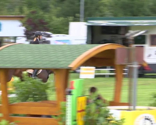 Reitturnier Holdorf 2015
