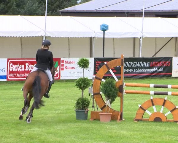 Reitturnier Holdorf 2015