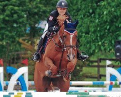 broodmare Aderma N (KWPN (Royal Dutch Sporthorse), 2005, from Indoctro)