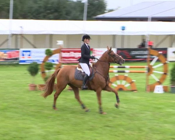 Reitturnier Holdorf 2015