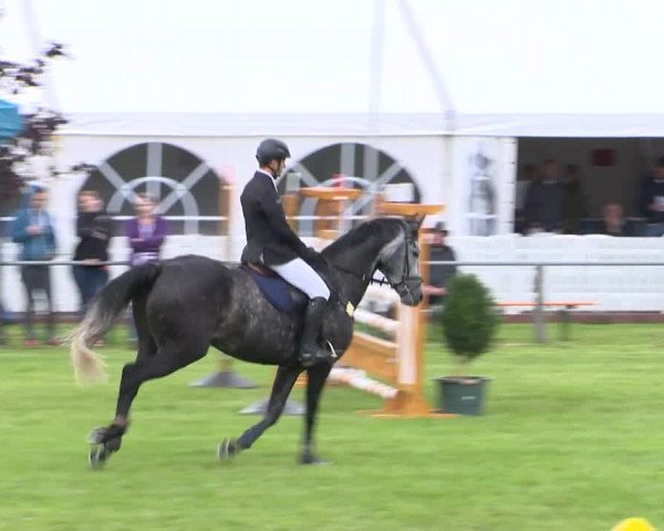 Reitturnier Holdorf 2015