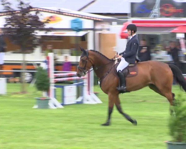 Reitturnier Holdorf 2015