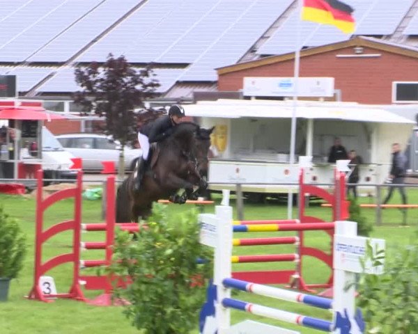 Reitturnier Holdorf 2015