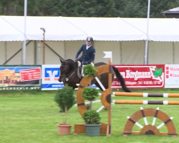 Reitturnier Holdorf 2015