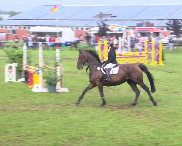 Reitturnier Holdorf 2015