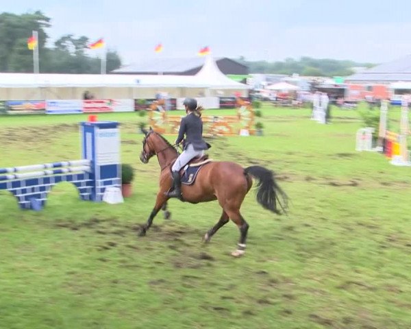 Reitturnier Holdorf 2015