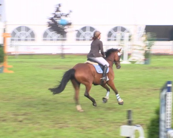 Reitturnier Holdorf 2015