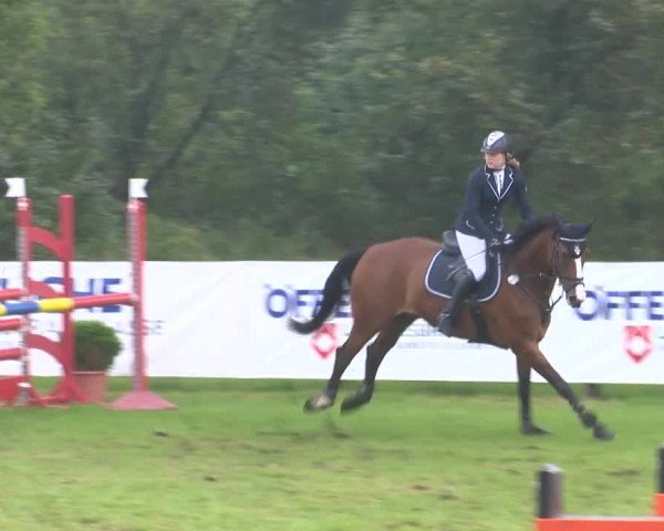 Reitturnier Holdorf 2015