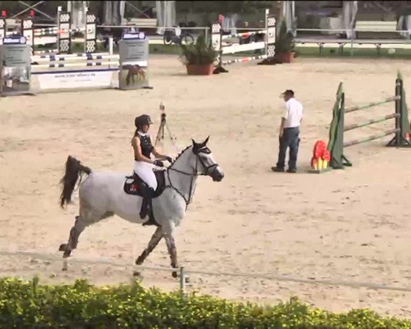 Reitturnier Waldachtal-Heiligenbronn 2015