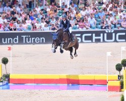 Fattrice BG Ziro Percent (KWPN (Warmblood olandese), 2008, di Zapatero VDL)