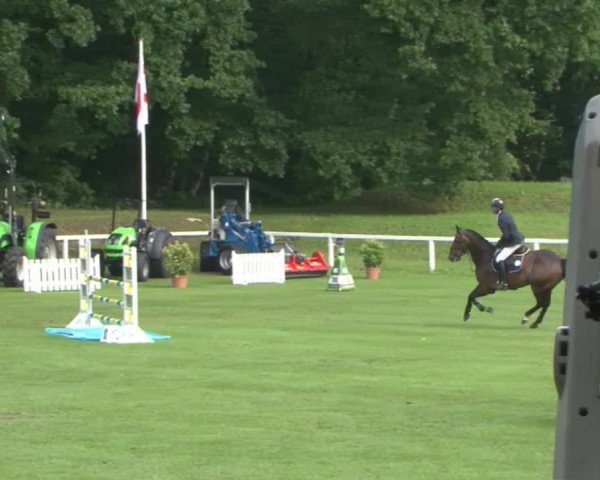 Schenefelder Sommerturnier 2015 - Horse & Classic