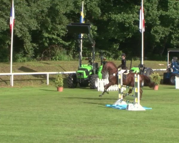 Schenefelder Sommerturnier 2015 - Horse & Classic