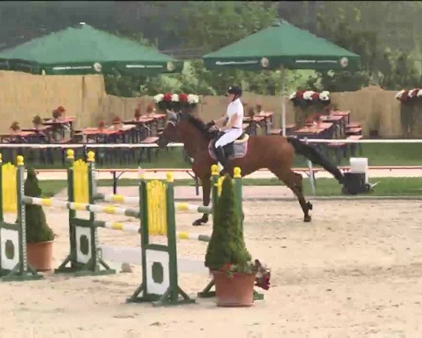 Reitturnier Waldachtal-Heiligenbronn 2015