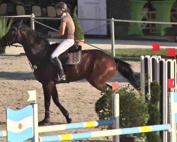 Reitturnier Waldachtal-Heiligenbronn 2015