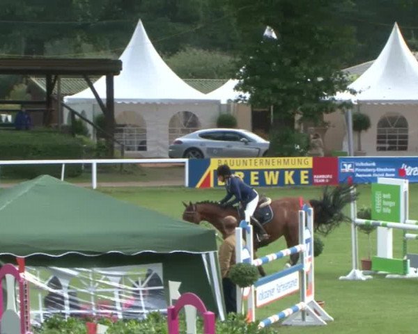 Schenefelder Sommerturnier 2015 - Horse & Classic