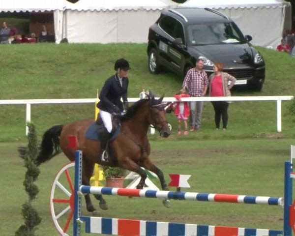 Schenefelder Sommerturnier 2015 - Horse & Classic