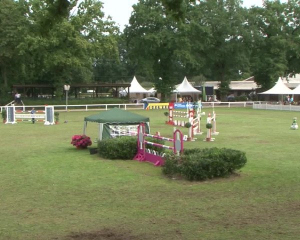 Schenefelder Sommerturnier 2015 - Horse & Classic