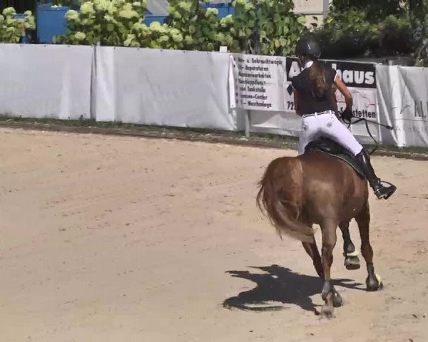 Reitturnier Waldachtal-Heiligenbronn 2015