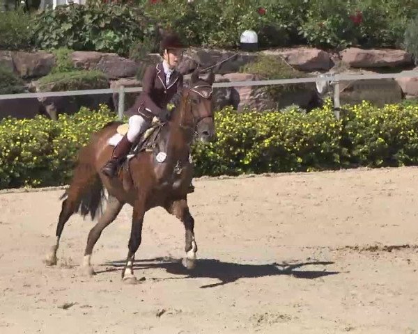 Reitturnier Waldachtal-Heiligenbronn 2015