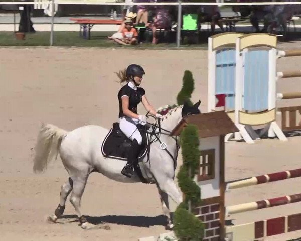 Reitturnier Waldachtal-Heiligenbronn 2015