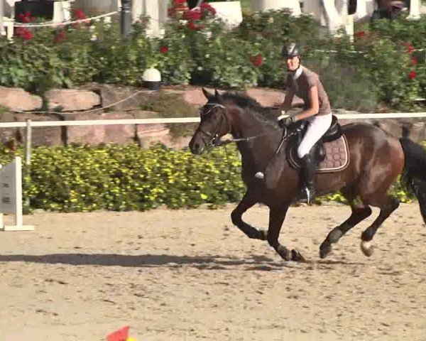 Reitturnier Waldachtal-Heiligenbronn 2015