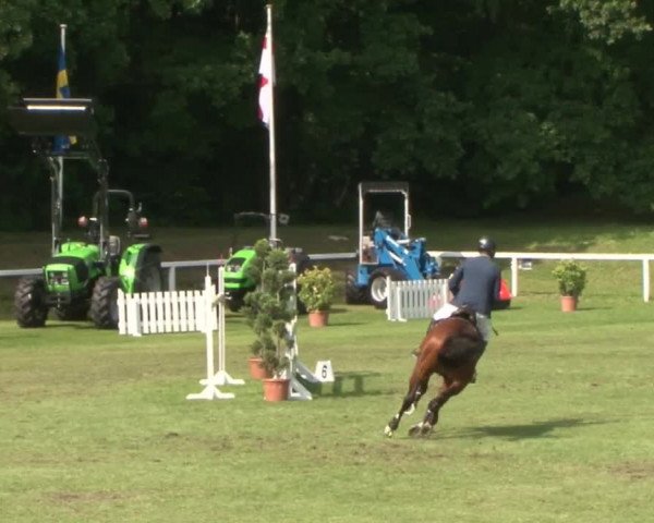 Schenefelder Sommerturnier 2015 - Horse & Classic