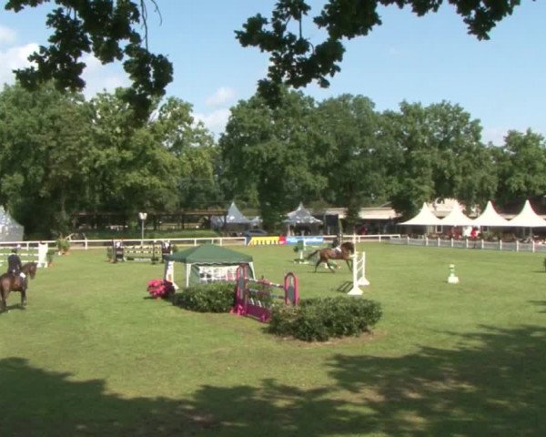 Schenefelder Sommerturnier 2015 - Horse & Classic