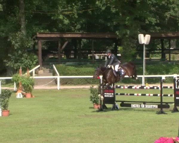 Schenefelder Sommerturnier 2015 - Horse & Classic
